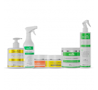 KIT LIMPEZA DE PELE - BASICO 